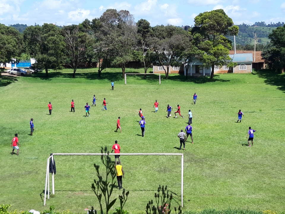 3551749274_1612306668.1412잔디구장.j