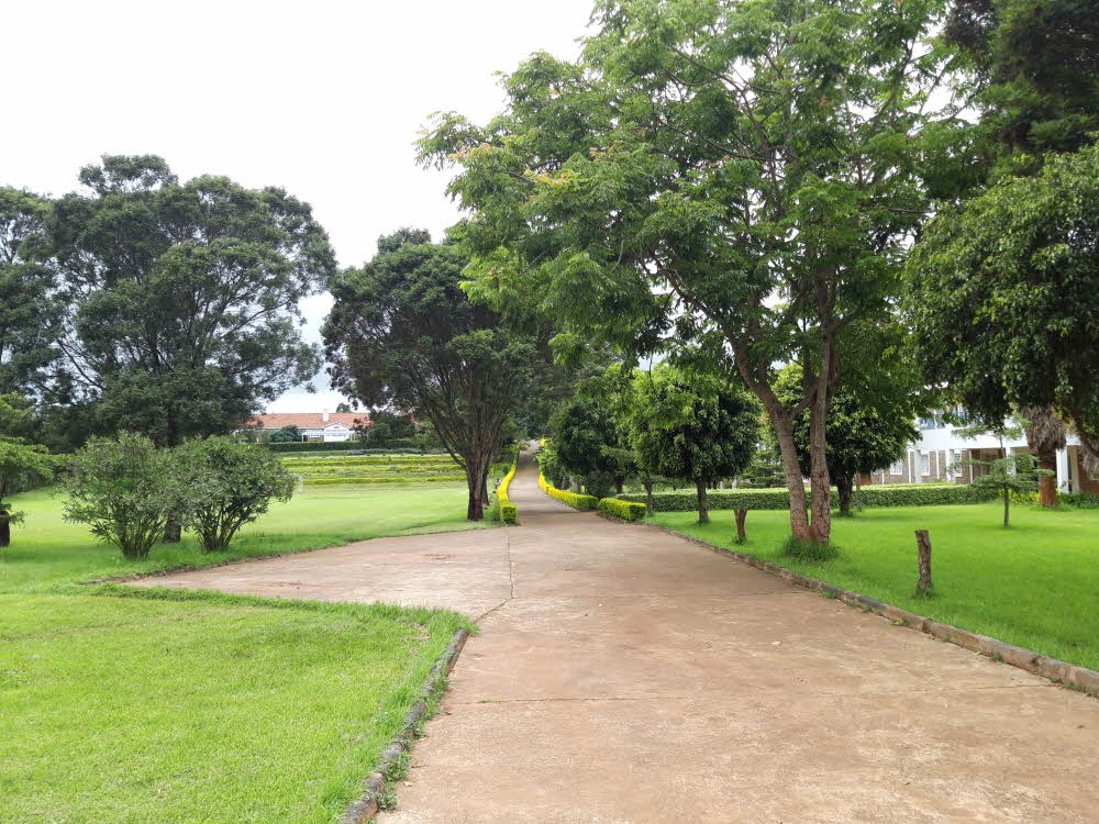 3551749274_1657621151.121%EC%A7%84%EC%9E